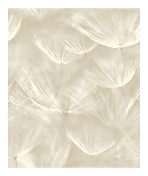 Tapeta 210901 Grandeco fliz