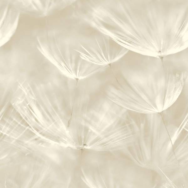 Tapeta 210901 Grandeco fliz