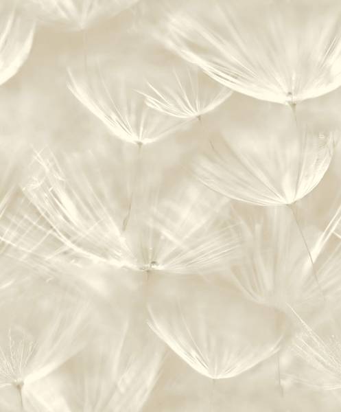 Tapeta 210901 Grandeco fliz