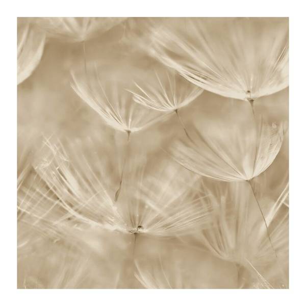 Tapeta 210902 Grandeco fliz