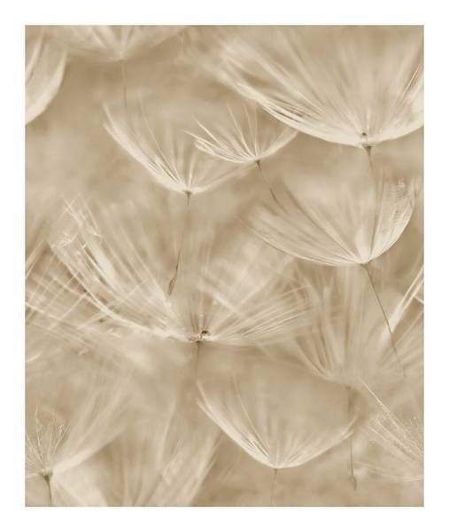 Tapeta 210902 Grandeco fliz