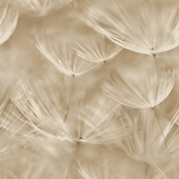 Tapeta 210902 Grandeco fliz