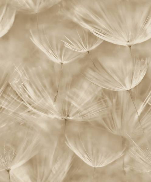 Tapeta 210902 Grandeco fliz