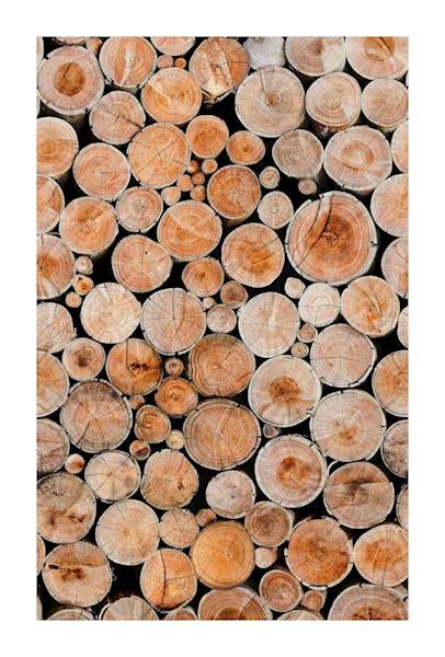 Tapeta 42016 Marburg Holzoptik Mural 2,5x1,59m