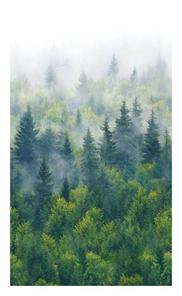 Tapeta 96453 Mural 1,59x2,7m Novamur