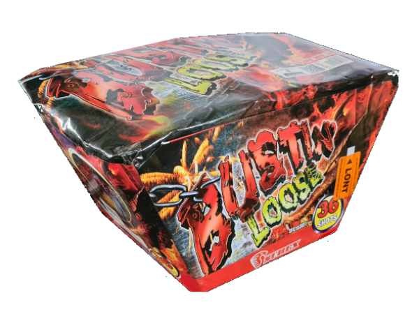 wyrzut-SFC1536F1 BUSTIN'S LOOSE 36sh; 1" F2 6/1