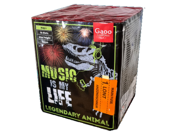 wyrzut-M25-1 MUSIC IS MY LIFE 25sh; 1" F2 8/1