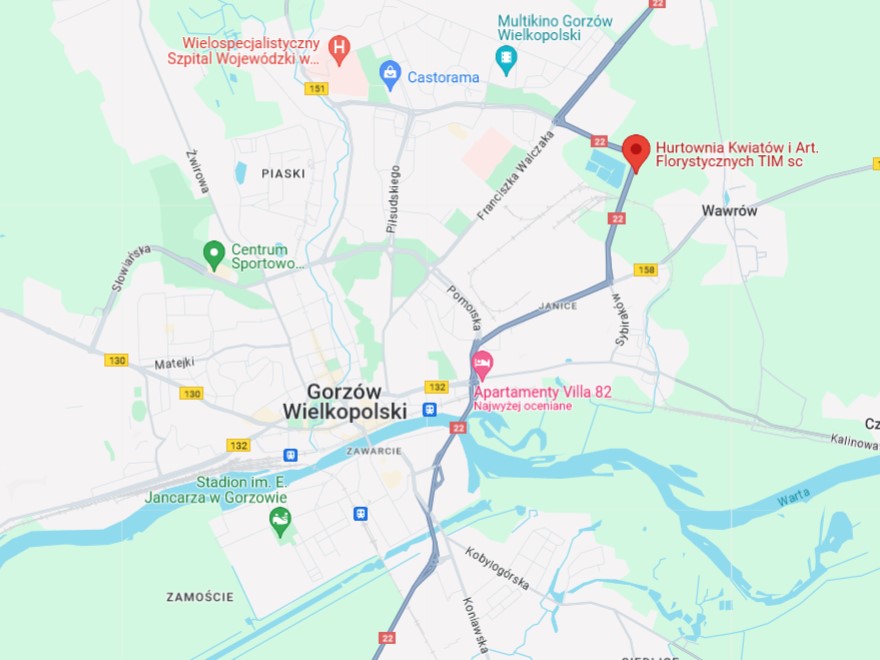 Hurtownia TIM mapa