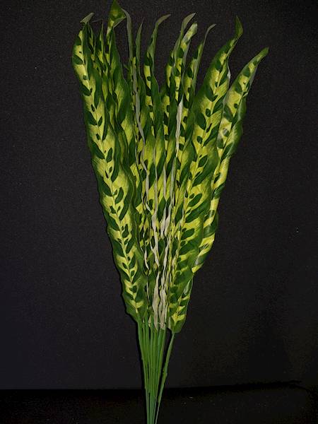 LIŚĆ DRACENA X12 B008 ZIELONY