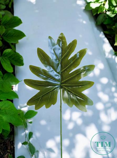 LIŚĆ PHILODENDRON GUMOWANY X12 RX108 ZIELONY