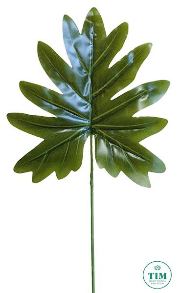 LIŚĆ PHILODENDRON GUMOWANY X12 RX108 ZIELONY