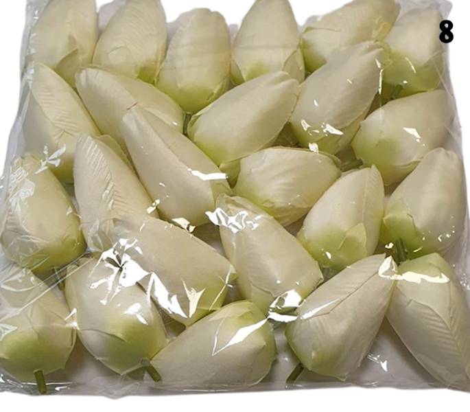 TULIPAN WYROBOWY X24 KX74099 MIX KOLOR