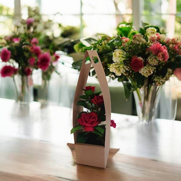 FLOWER BOX X10 FB1703-14 NATURALNY