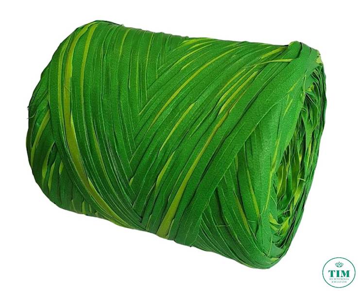 RAPHIA 33 ZIELONY CIEMNY JASNY 200MT