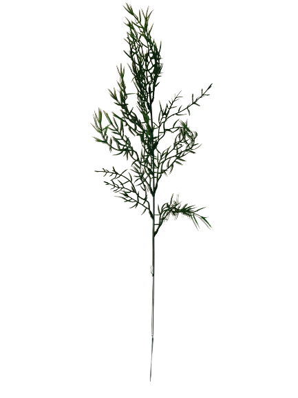 ASPARAGUS GAŁĄZKA X12 KX74191 ZIELONY