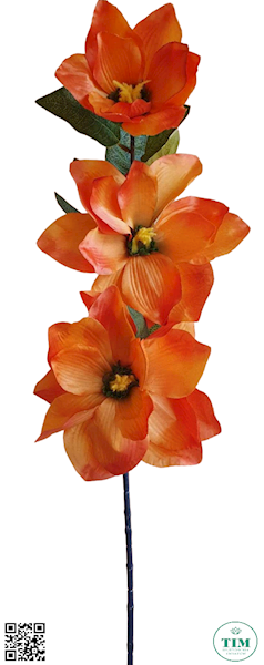 MAGNOLIA GAŁĄZKA MIXY LY701Y MIX KOLOR 