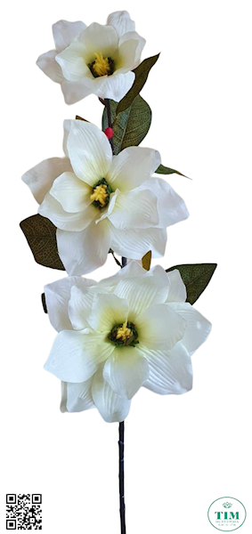 MAGNOLIA GAŁĄZKA MIXY LY701Y MIX KOLOR 