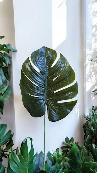 LIŚĆ PHILODENDRON X12 RX069 ZIELONY