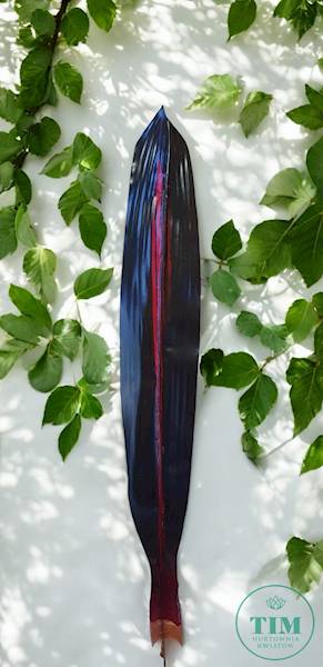 LIŚĆ DRACENA GUMOWANY X12 RX057B BORDOWO CZERWONY