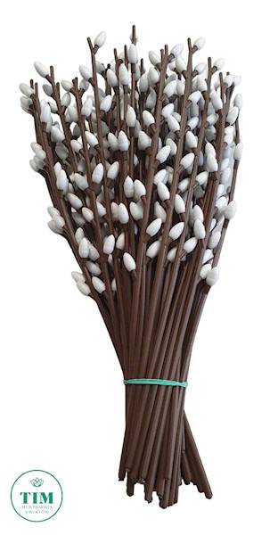 BAZIE WIELKANOC 24CM X60 K993E