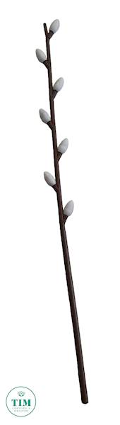 BAZIE WIELKANOC 24CM X60 K993E