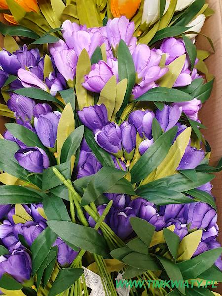 KROKUS BUKIET EJ001A MIX KOLOR