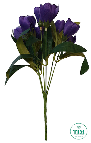 KROKUS BUKIET EJ001A MIX KOLOR