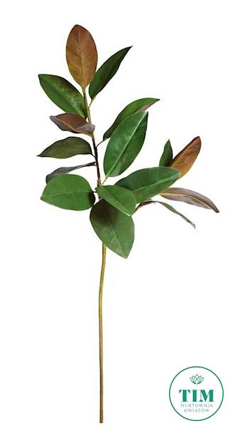 MAGNOLIA GAŁĄZKA LIŚCIE GUMOWANE DK005 ZIELONY
