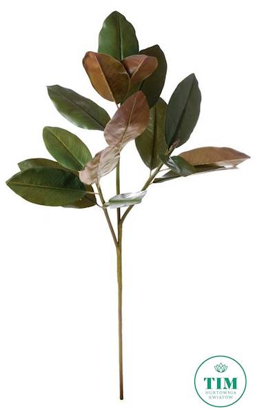 MAGNOLIA GAŁĄZKA LIŚCIE GUMOWANE DK005 ZIELONY