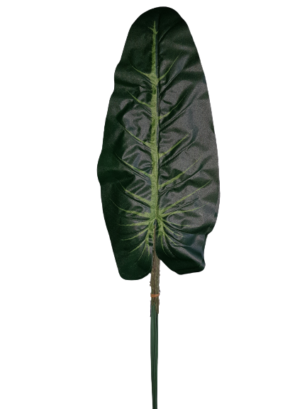LIŚĆ ANTHURIUM X12 KX74326 ZIELONY