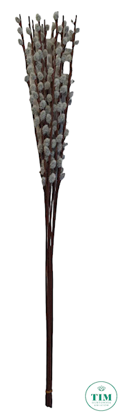 BAZIE GAŁĄZKA X12 M91998 SZARY