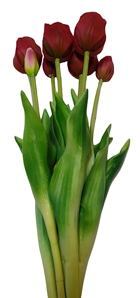 TULIPAN GUMOWANY BUKIET X7 M92703 BURGUND