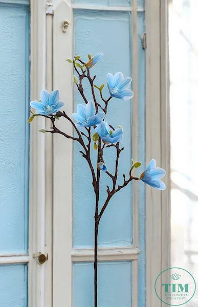 MAGNOLIA GAŁAZKA GK912 BŁĘKITNY