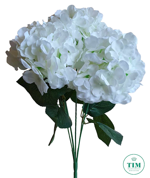 HORTENSJA BUKIET LY6206 MIX KOLOR 