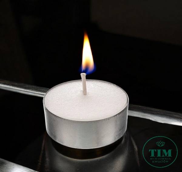 PODGRZEWACZ X50 PF1050S TEALIGHTS SREBRNY