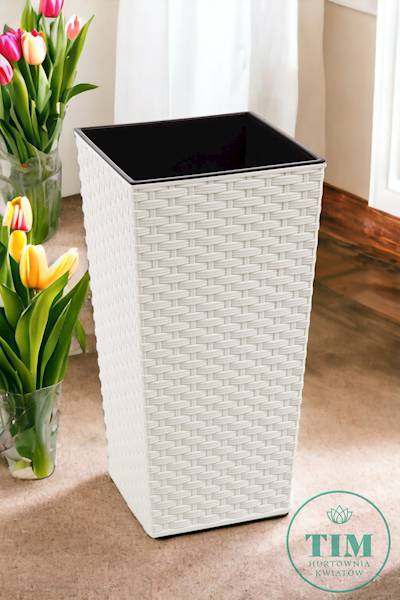 DONICZKA FINEZJA 350MM LA57674 RATTAN KREMOWY