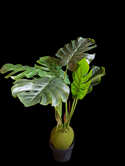 DRZEWKO MONSTERA 90CM T019