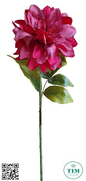 DALIA GAŁĄZKA M92995 MIX KOLOR