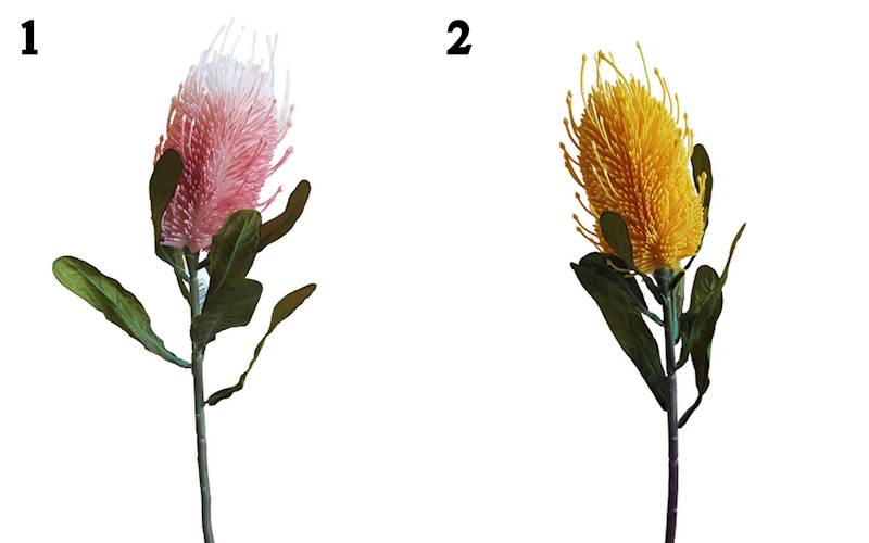 PROTEA GAŁĄZKA M92923 MIX KOLOR