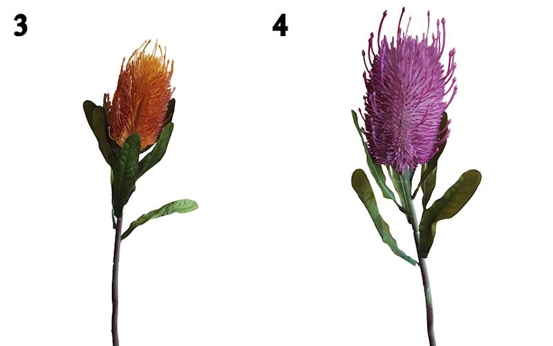 PROTEA GAŁĄZKA M92923 MIX KOLOR