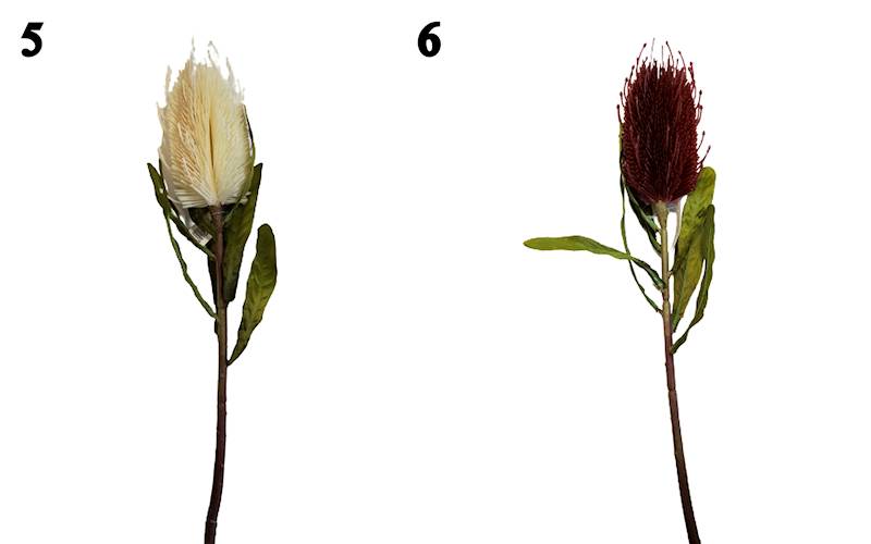 PROTEA GAŁĄZKA M92923 MIX KOLOR