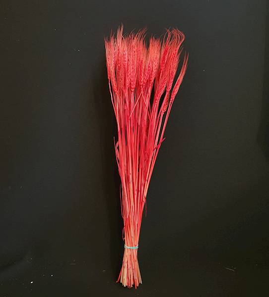 ZBOŻE FARBOWANE 65CM POMARAŃCZOWY