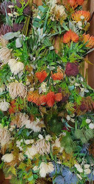 PROTEA BUKIET XTB6431 MIX KOLOR 