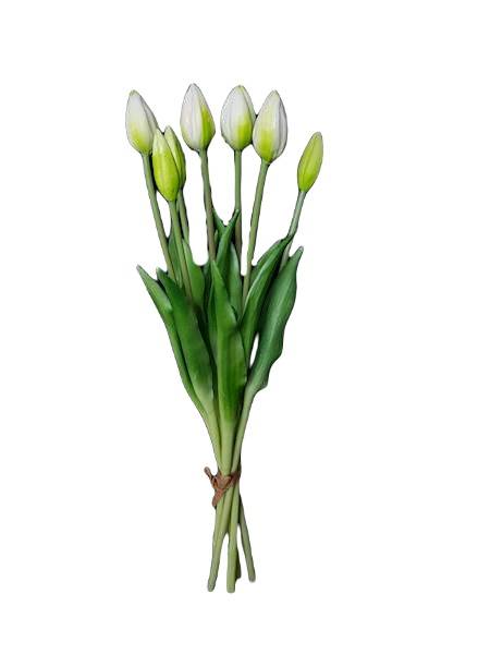 TULIPAN GUMOWANY BUKIET X7 M92702 BIAŁY