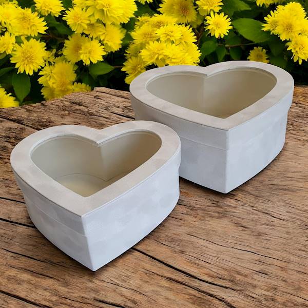 FLOWER BOX X2 W7759 WELUR SERCE KREMOWY