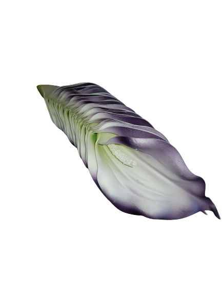 KALIA WYROBOWA X24 KX74162 BORDOWY