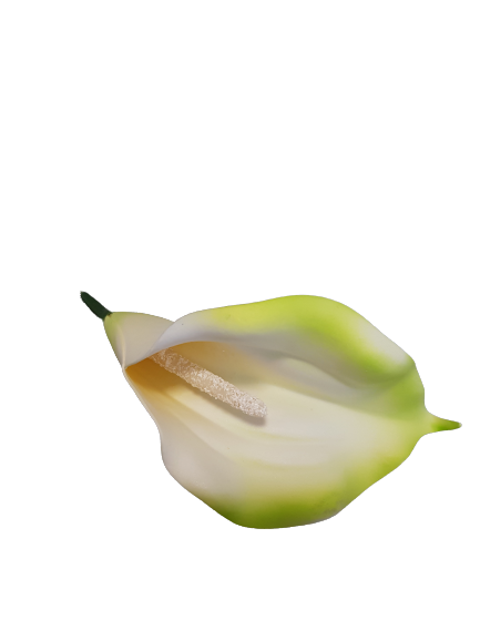 KALIA WYROBOWA X24 KX74162 ZIELONY