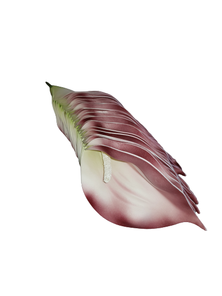KALIA WYROBOWA X24 KX74162 BORDOWY