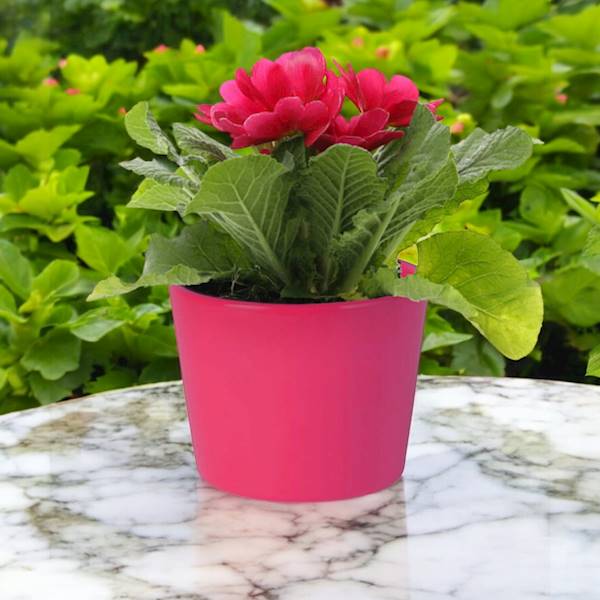 OSŁONKA CERAMIKA 7100913 CIEMNY RÓŻ 12CM