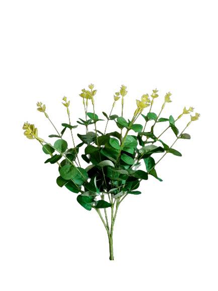 EUKALIPTUS BUKIET MG001 ZIELONY